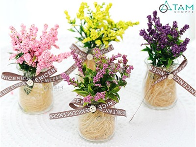 Chậu hoa nhỏ để bàn Lavender số 77